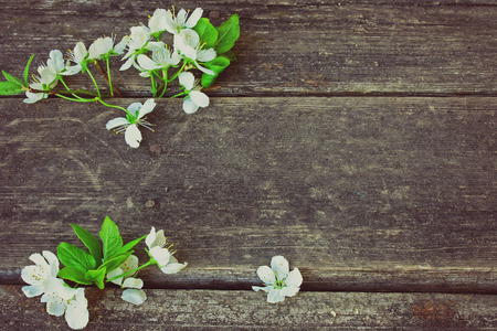 blossoming plum branch lies on old wooden table, retro toned
