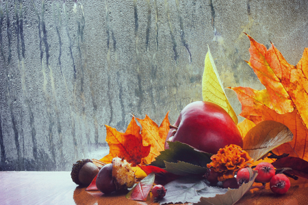 Autumn background, rainy window, colorful leaves, red apple, chestnuts, acorns and berries, selective focusの写真素材
