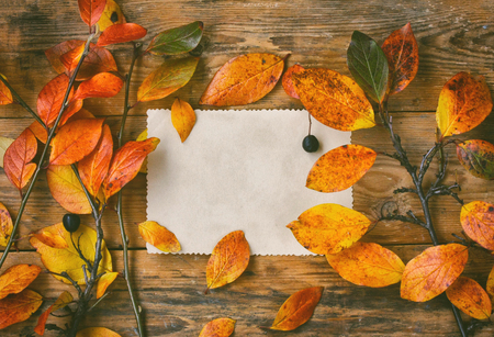 autumn background branches with colorful leaves, paper gift card on old wooden tableの写真素材