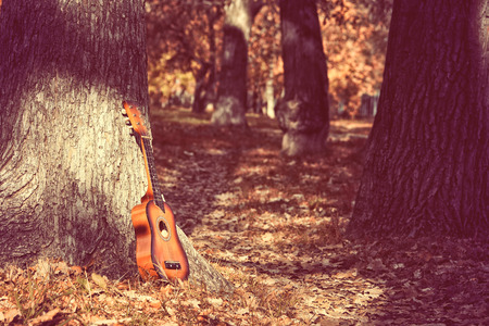 old little guitar standing by tree in autumn park, toned imageの写真素材