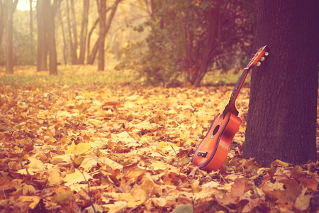 old little guitar standing by tree in autumn park, toned imageの写真素材
