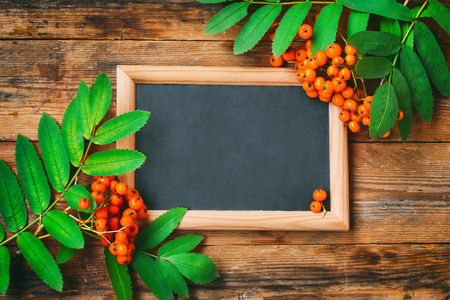 Bunch of ashberry branch, blackboard in frame, on wooden table, autumn composition, space for text, rustic styleの写真素材