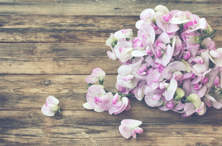 delicate bouquet of sweet peas closeup, on wooden table, toned vintage style, soft focusの写真素材