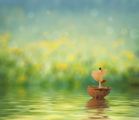 small ship nutshell floating in the creek