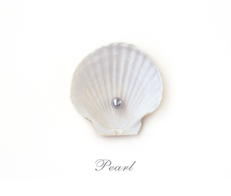 seashell with pearl, isolated on white background, space for text, inscription