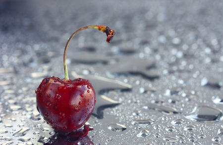 one ripe sweet cherry in water droplets on mirror surface, macro imageの写真素材