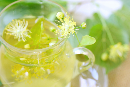 linden tea in glass cup, macro, linden flower, selective focusの写真素材