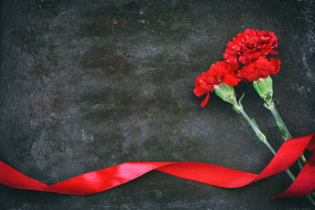 three red carnations, scarlet silk ribbon, on black background, retro style, copy spaceの写真素材