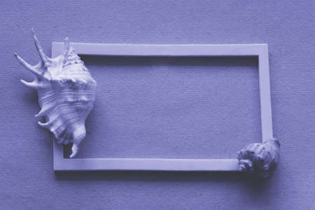 Very peri violet color, seashell and frame on rough paper background, closeup, top view, trend color