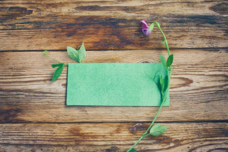 one sweet pea flower, blank green paper tag on old wooden table, ecology concept, congratulation cardの写真素材