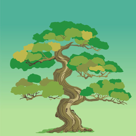 Bonsai tree, isolated on green background. Vector illustration.のイラスト素材
