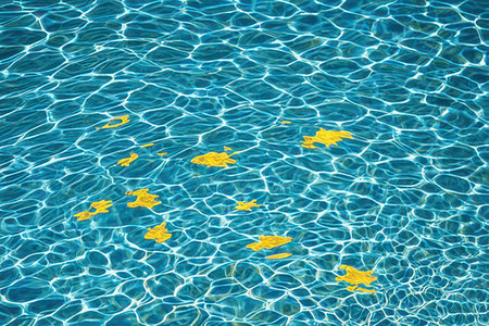 Swimming pool with yellow starfish pattern. Summertime background.の素材