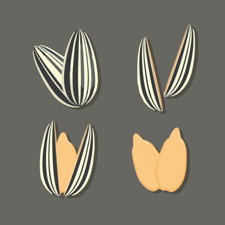vector illustration of a set of pistachio seeds on a gray backgroundのイラスト素材