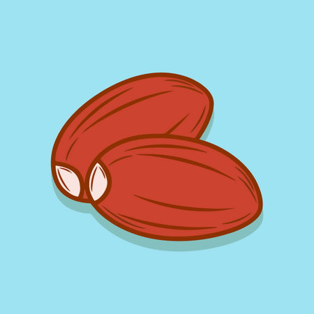 Illustration of nuts. Vector illustration of nuts on a blue background.のイラスト素材