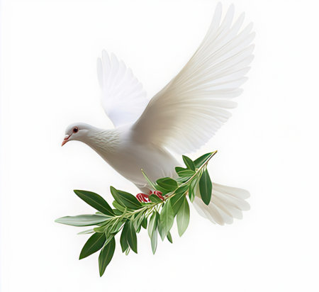 White dove with olive branch isolated on white background, clipping path includedの素材