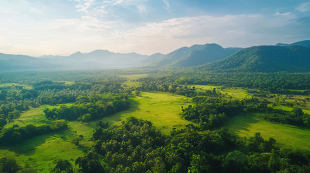 Beautiful aerial view of green meadow and forest at sunrise timeの素材