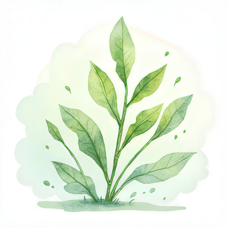 Watercolor vector illustration of a green plant on a white background.の素材