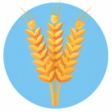 Illustration of wheat ears on a blue background. Vector illustration.の素材