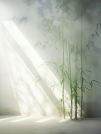 Bamboo leaves in the white room with sunlight. 3d renderingの素材