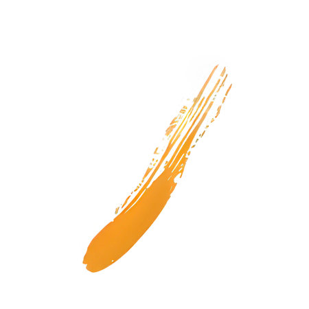 Orange paint brush stroke on white background. Vector illustration of a grunge brush stroke.の素材