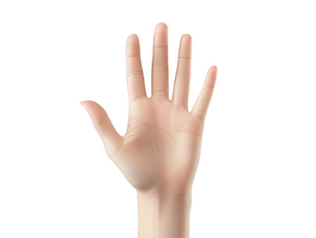 Human hand isolated on white background. Vector illustration. Eps 10.の素材