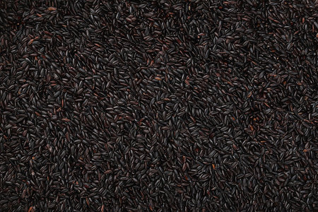Close up of black rice as background. Top view, flat layの素材