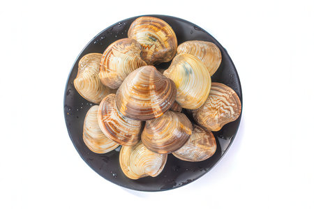 Fresh clams on a plate isolated on white background. Clams on a plateの素材