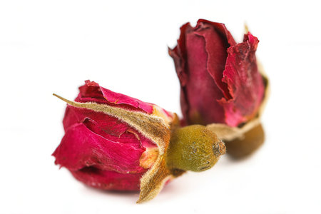 Dried rose buds on a white background. Close-up.の素材
