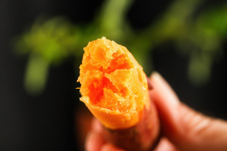 Close up of hand holding a piece of carrot with a blurred backgroundの素材