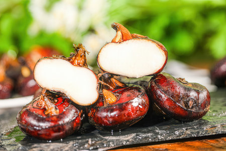 Betel nut on a wooden table, close-up, selective focusの素材