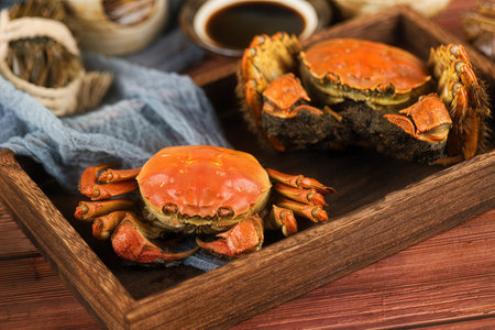 Steamed crab in wooden tray on rustic wooden background. Seafood.の素材