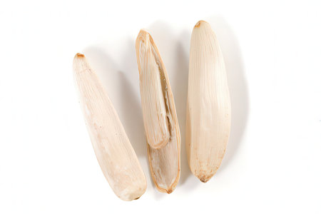 Celery seeds isolated on white background. Clipping path included.の素材