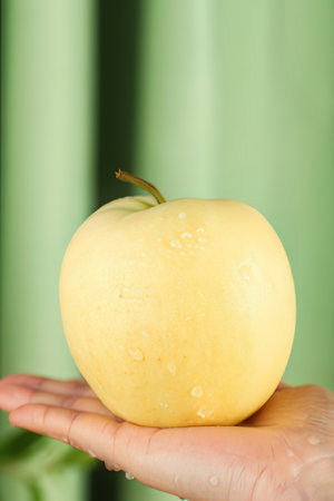 Close-up of an apple in hand on a green background.の素材