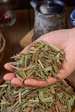 Pile of dry tea leaves in a woman's hand, close upの素材