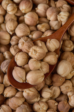 chickpeas in a wooden spoon, close-up.の素材