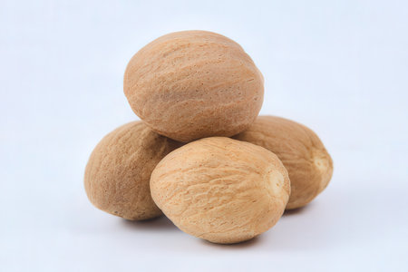 nutmeg isolated on white background, nutmeg on white background.の素材