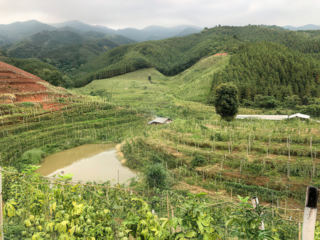 Mountain landscape at Doi Ang Khang, Chiang Mai, Thailandの素材