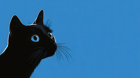 Black cat with blue eyes on a blue background with copy space.の素材