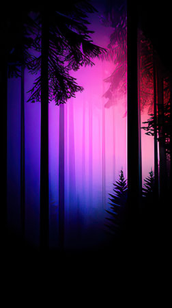 Silhouette of trees in foggy forest on dark background.の素材