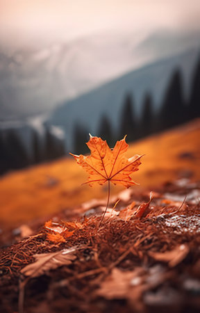 Autumn maple leaf on the background of the mountains and the forestの素材