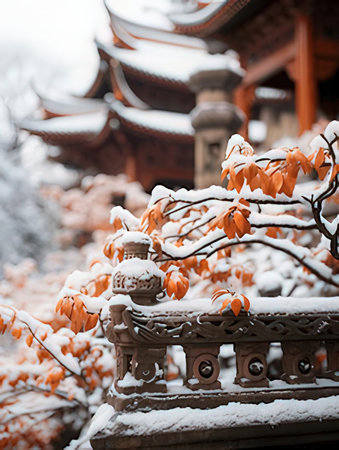 Kiyomizu-dera temple in Kyoto, Japan during snowfallの素材