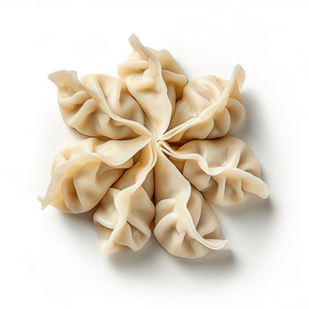 Dumplings isolated on white background. Top view.の素材