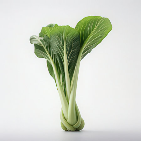 chinese cabbage isolated on a white background. 3d render.の素材