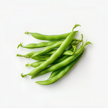 Fresh green beans isolated on white background. Top view. Flat lay.の素材
