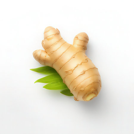 Fresh ginger with leaves isolated on white background. 3d illustration.の素材