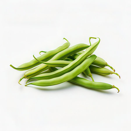 Green beans isolated on white background with clipping path. Top view.の素材