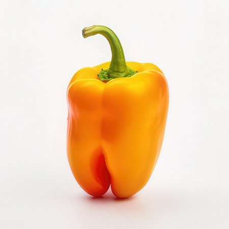 Orange bell pepper isolated on white background. 3d render illustration.の素材