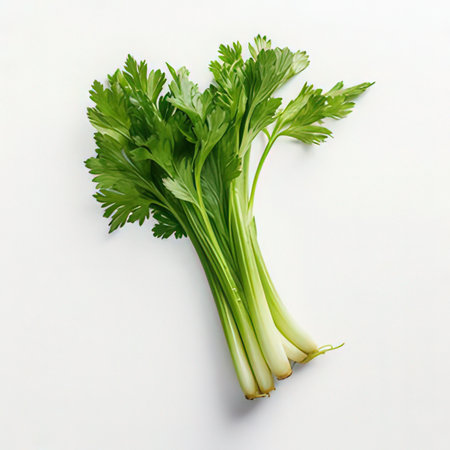 Fresh celery on white background. Top view, flat lay.の素材