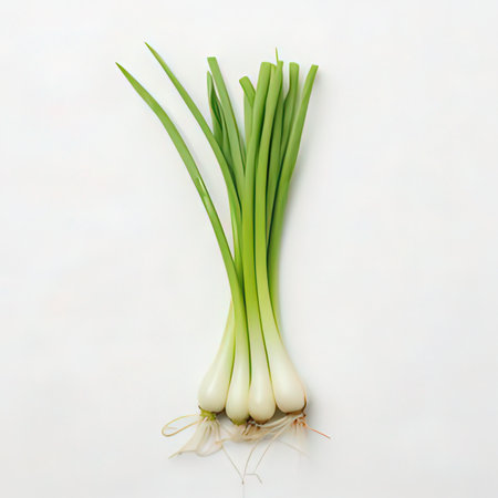 Fresh spring onions isolated on white background. Clipping path included.の素材