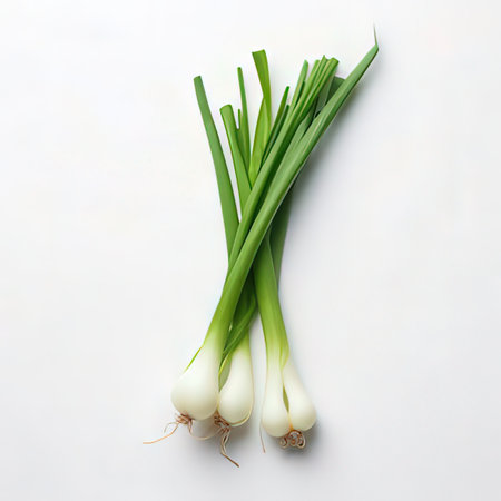 Fresh green onions on white background. Flat lay, top view.の素材